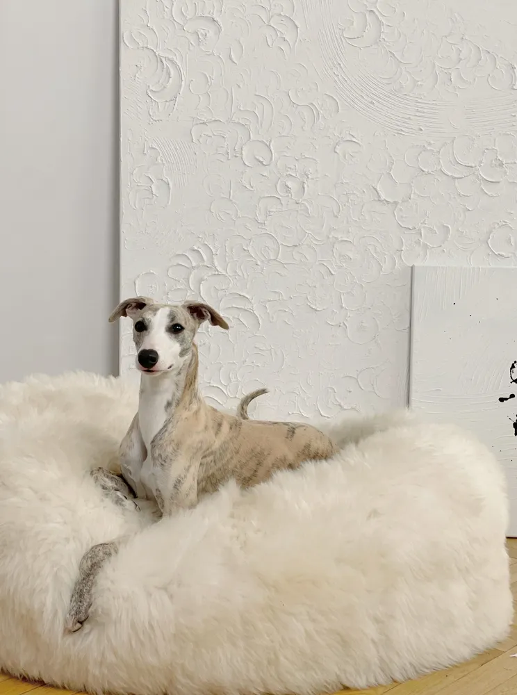 Lits - Lit ovale pour animal en peau de mouton naturelle – blanc - MELLOW CONCEPT STORE