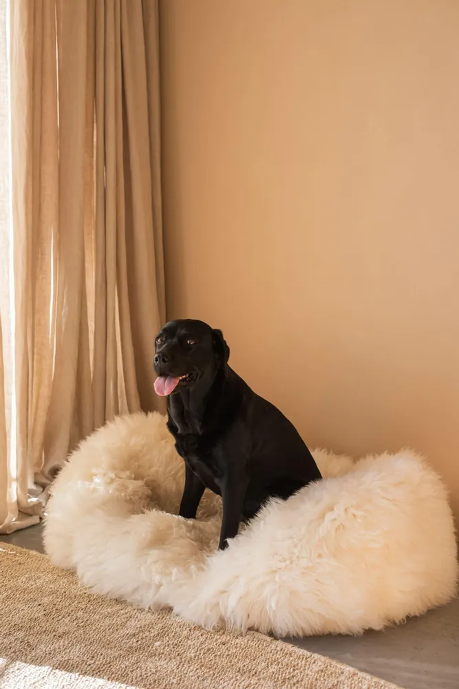 Lits - Lit ovale pour animal en peau de mouton naturelle – blanc - MELLOW CONCEPT STORE
