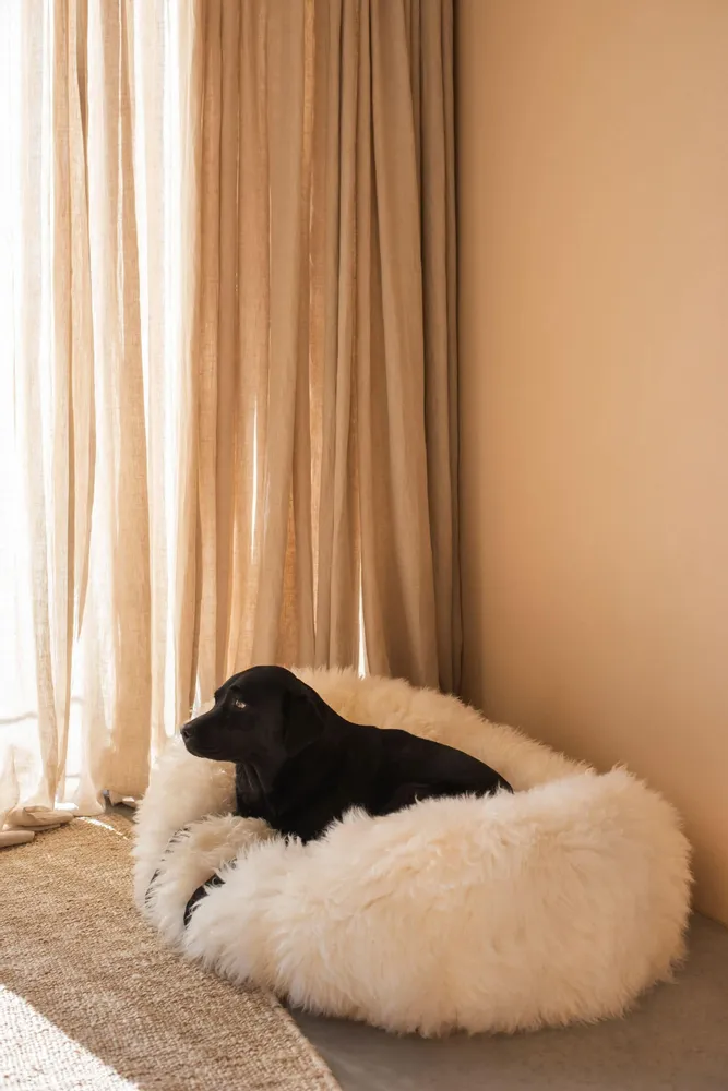 Lits - Lit ovale pour animal en peau de mouton naturelle – blanc - MELLOW CONCEPT STORE