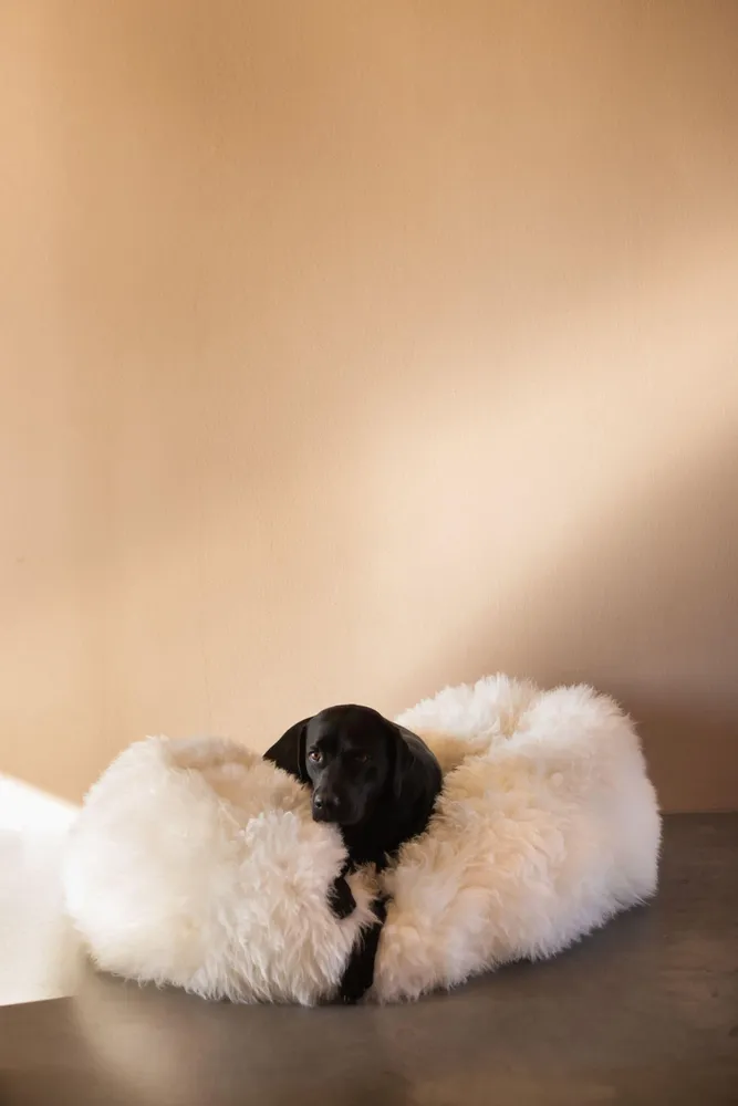 Lits - Lit ovale pour animal en peau de mouton naturelle – blanc - MELLOW CONCEPT STORE