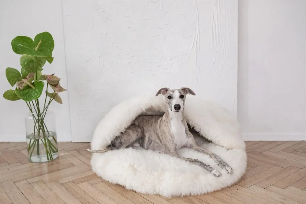Lits - Grotte pour Animal en Peau de Mouton Naturelle – Blanche - MELLOW CONCEPT STORE