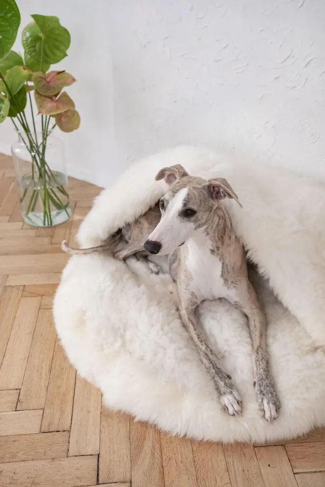 Lits - Grotte pour Animal en Peau de Mouton Naturelle – Blanche - MELLOW CONCEPT STORE