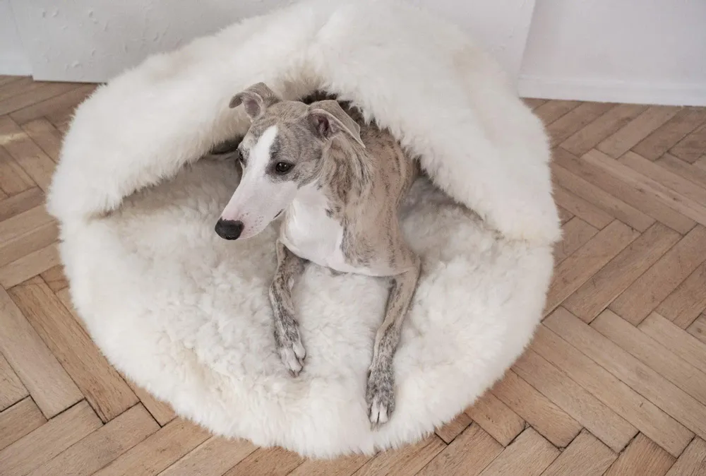 Lits - Grotte pour Animal en Peau de Mouton Naturelle – Blanche - MELLOW CONCEPT STORE