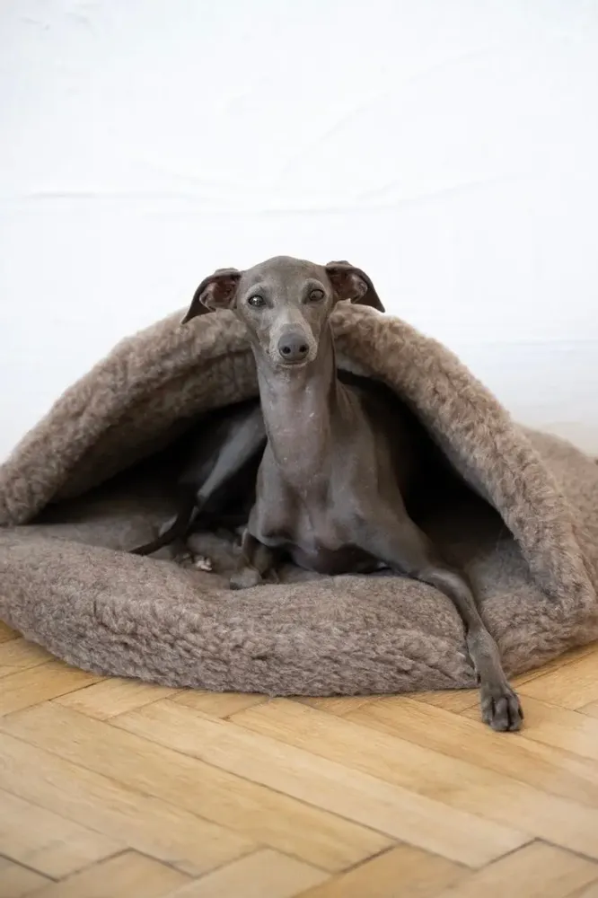 Lits - Grotte pour Animal en Laine Naturelle – Beige - MELLOW CONCEPT STORE
