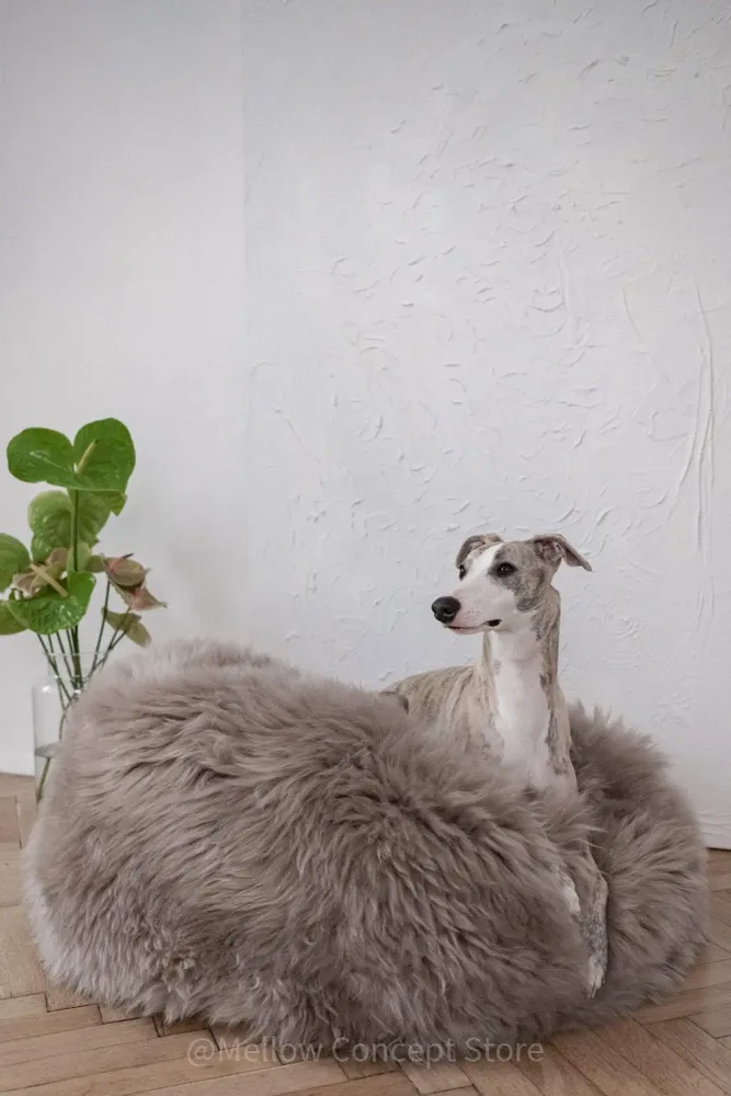 Lits - Lit Ovale pour Animal en Peau de Mouton Naturelle – Greige - MELLOW CONCEPT STORE