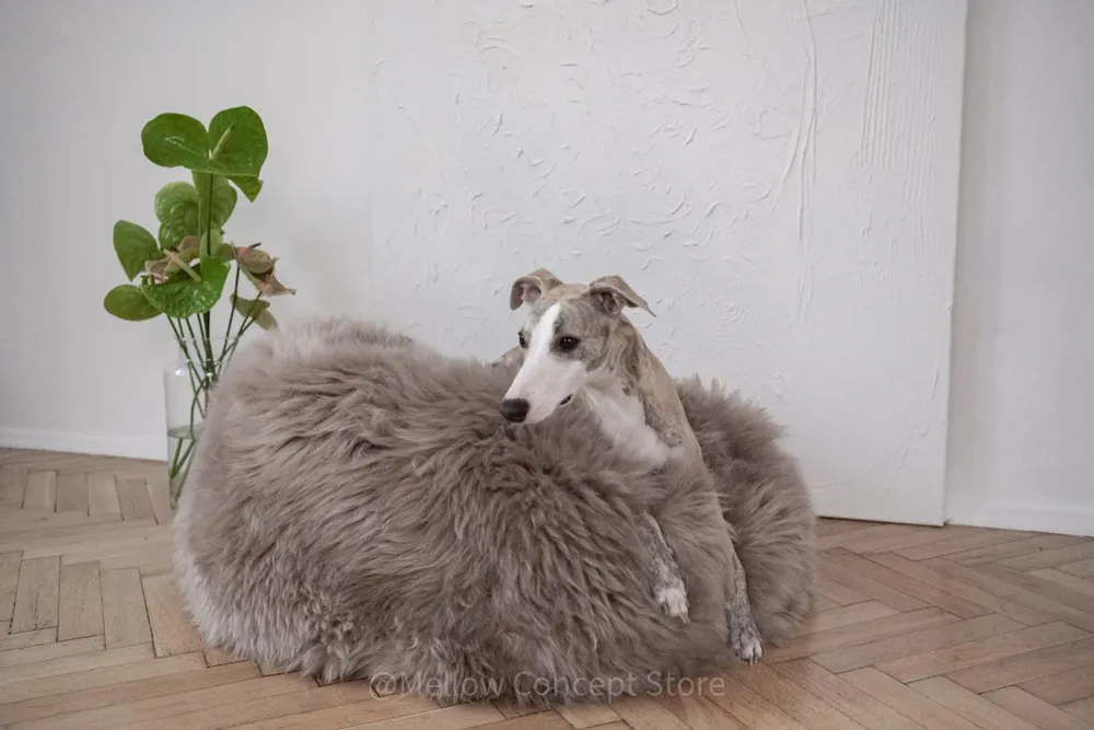 Lits - Lit Ovale pour Animal en Peau de Mouton Naturelle – Greige - MELLOW CONCEPT STORE