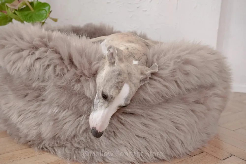 Lits - Lit Ovale pour Animal en Peau de Mouton Naturelle – Greige - MELLOW CONCEPT STORE