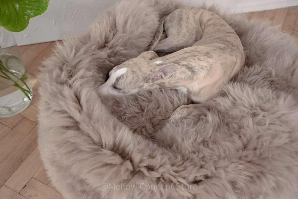 Lits - Lit Ovale pour Animal en Peau de Mouton Naturelle – Greige - MELLOW CONCEPT STORE