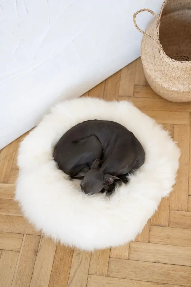 Beds - Round Natural Sheepskin Pet Bed - White - MELLOW CONCEPT STORE