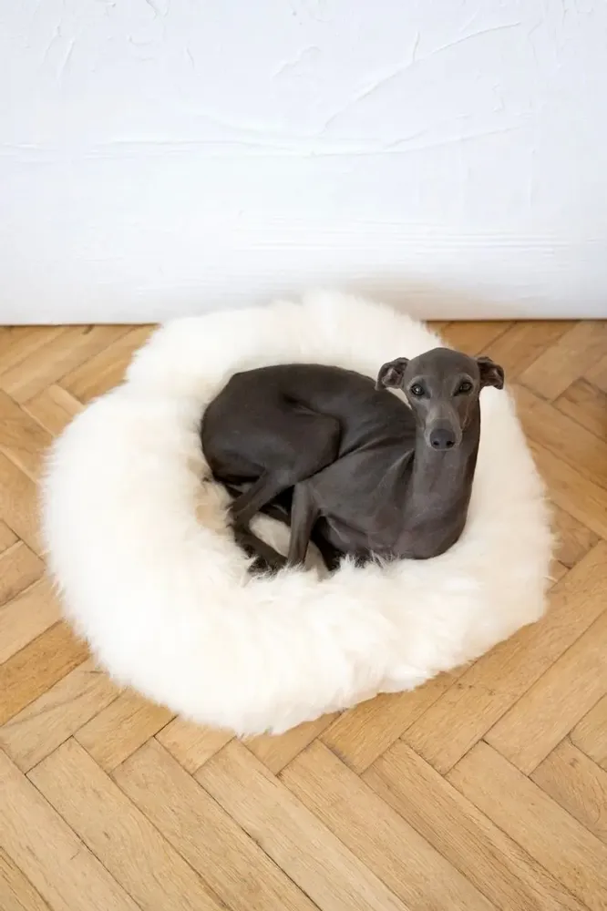 Beds - Round Natural Sheepskin Pet Bed - White - MELLOW CONCEPT STORE