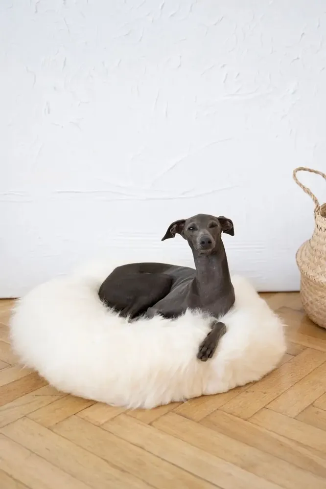 Beds - Round Natural Sheepskin Pet Bed - White - MELLOW CONCEPT STORE