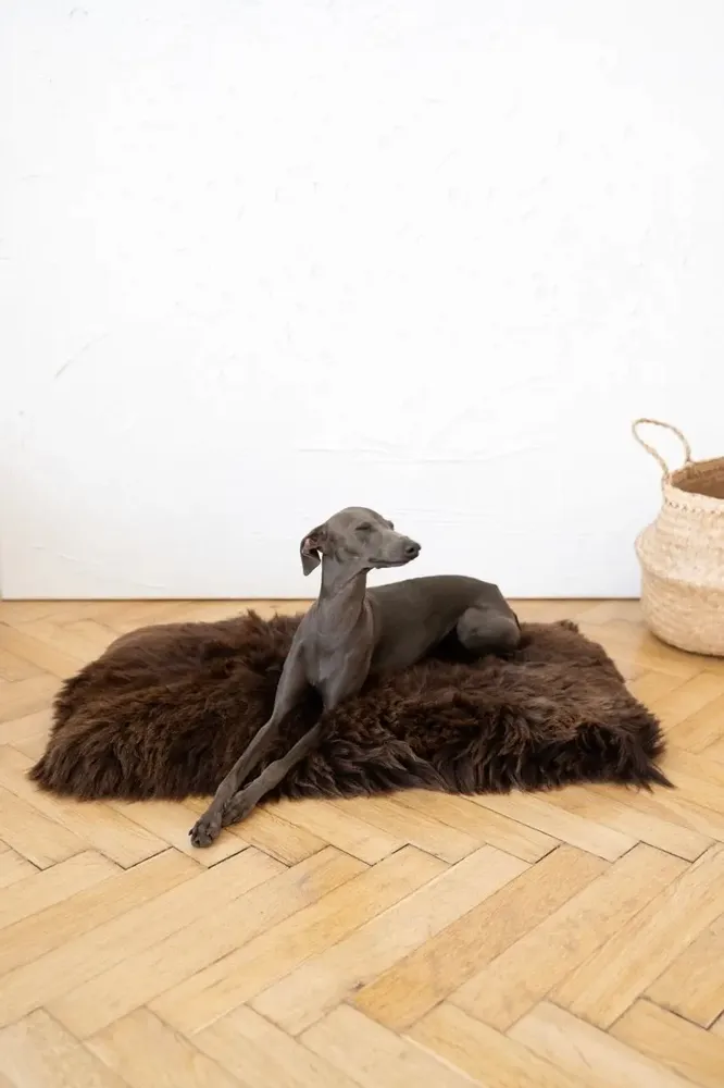Beds - Square or Rectangular Natural Sheepskin Pet Mat - Brown - MELLOW CONCEPT STORE
