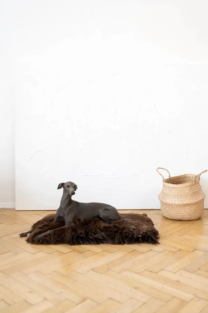 Beds - Square or Rectangular Natural Sheepskin Pet Mat - Brown - MELLOW CONCEPT STORE