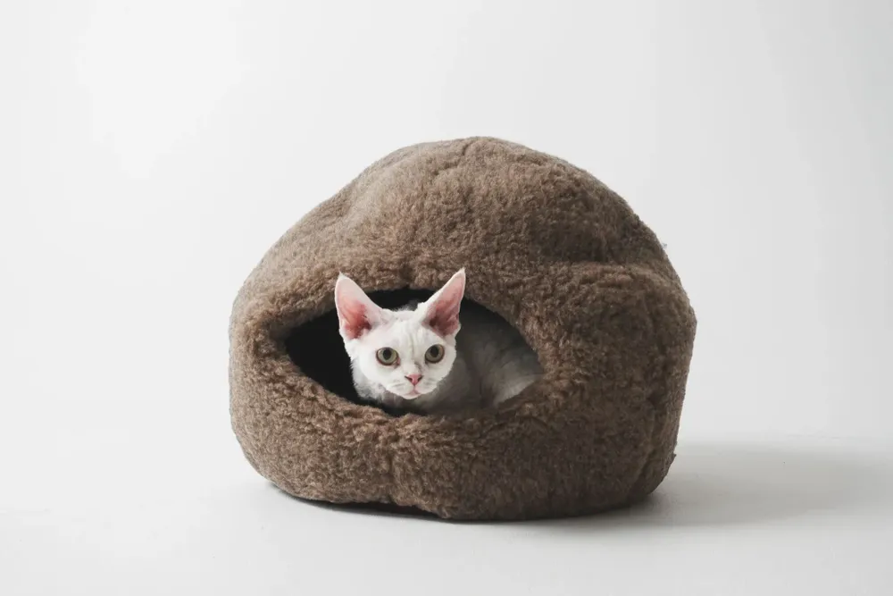 Beds - Nest Natural Woolen Pet Bed - Beige - MELLOW CONCEPT STORE