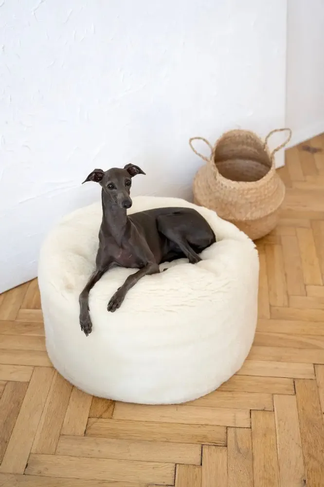 Beds - Oval Natural Wool Pet Bed - White - MELLOW CONCEPT STORE