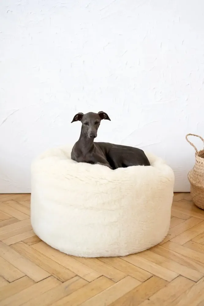 Beds - Oval Natural Wool Pet Bed - White - MELLOW CONCEPT STORE