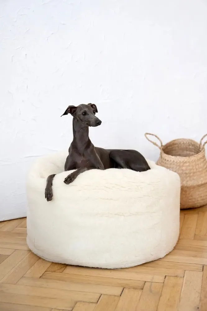 Beds - Oval Natural Wool Pet Bed - White - MELLOW CONCEPT STORE