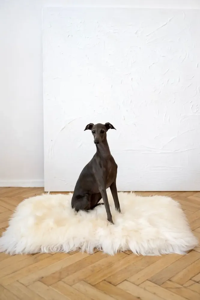Beds - Square or Rectangular Natural Sheepskin Pet Mat - White - MELLOW CONCEPT STORE