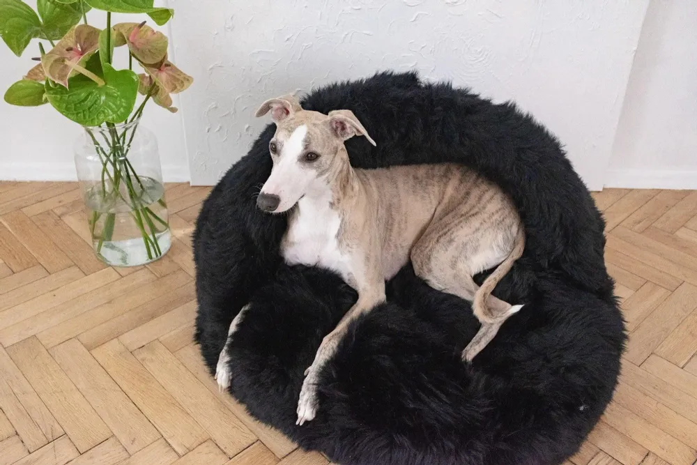 Lits - Grotte pour Animal en Peau de Mouton Naturelle – Noire - MELLOW CONCEPT STORE