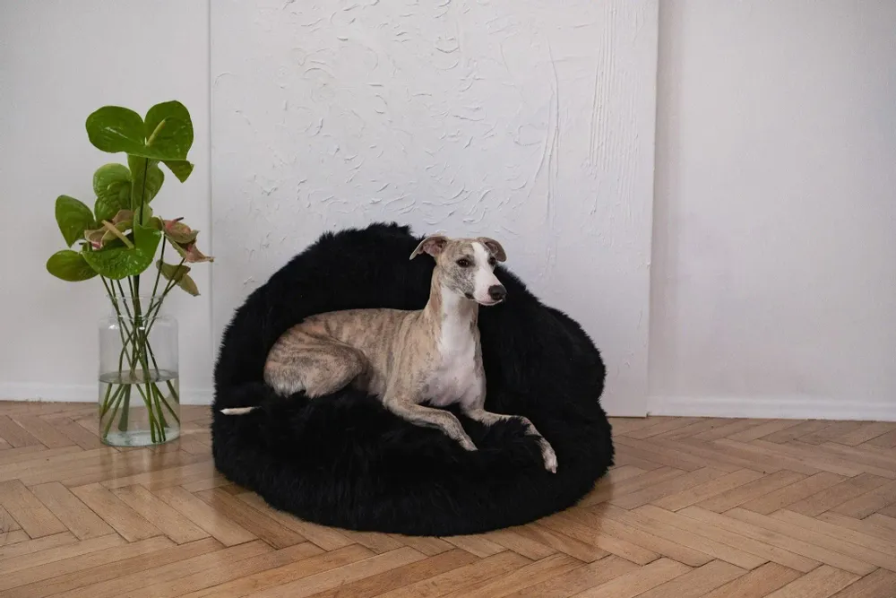 Lits - Grotte pour Animal en Peau de Mouton Naturelle – Noire - MELLOW CONCEPT STORE