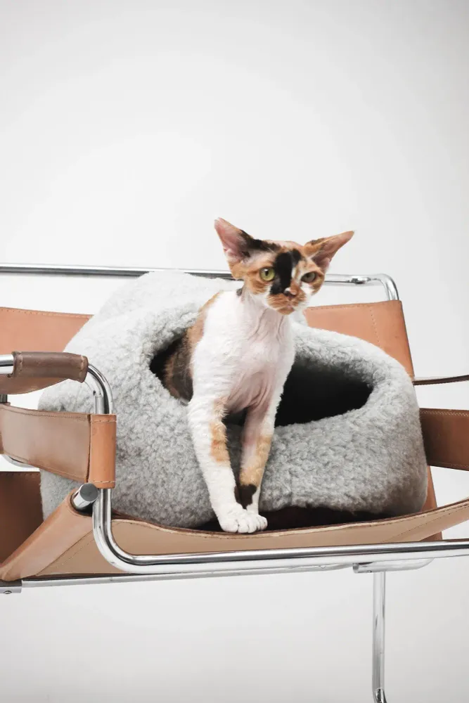 Beds - Nest Natural Woolen Pet Bed - Gray - MELLOW CONCEPT STORE
