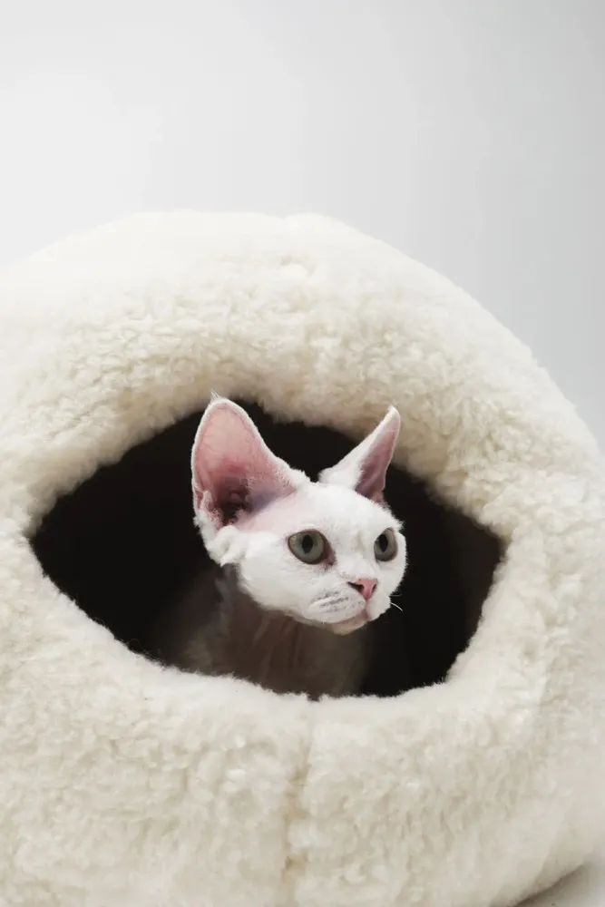 Beds - Nest Natural Woolen Pet Bed - White - MELLOW CONCEPT STORE