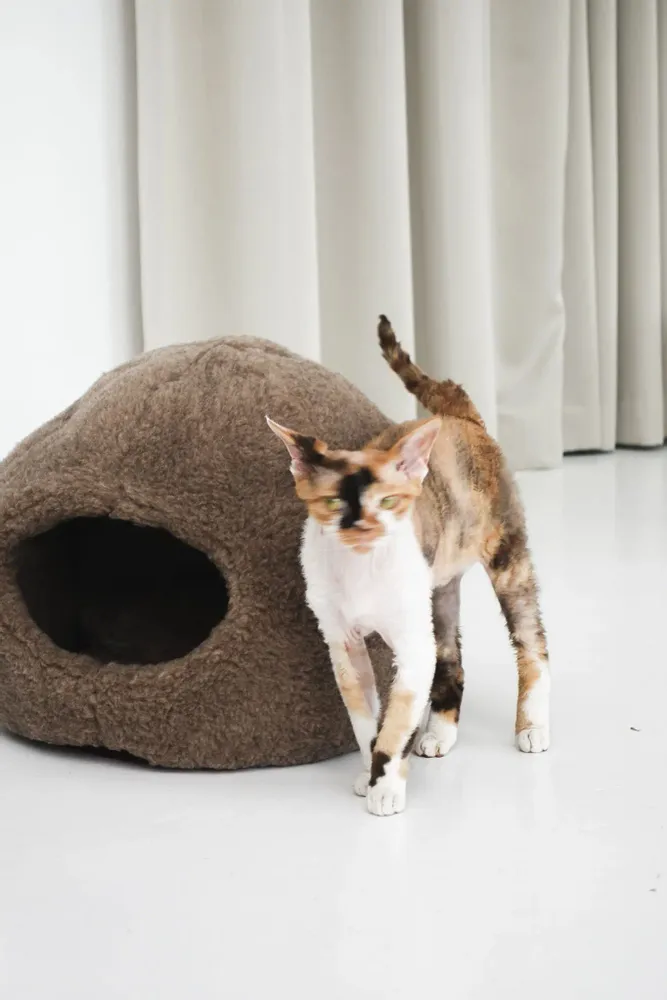 Lits - Grotte pour Animal en Peau de Mouton Naturelle – Beige - MELLOW CONCEPT STORE