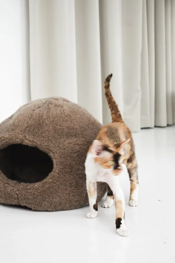 Lits - Grotte pour Animal en Peau de Mouton Naturelle – Beige - MELLOW CONCEPT STORE