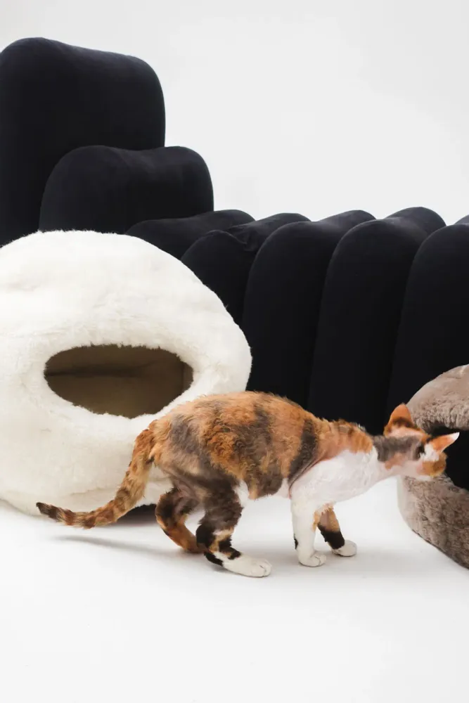 Lits - Grotte pour Animal en Peau de Mouton Naturelle – Beige - MELLOW CONCEPT STORE