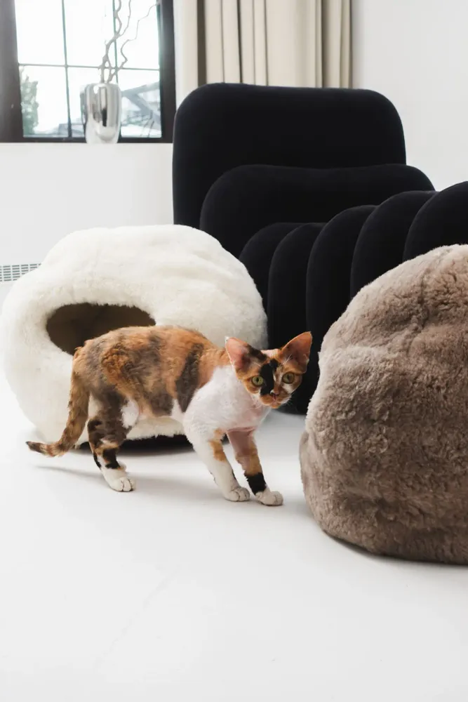 Lits - Grotte pour Animal en Peau de Mouton Naturelle – Beige - MELLOW CONCEPT STORE