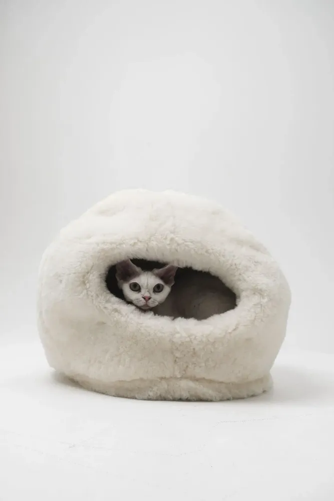 Lits - Grotte Naturelle en Laine pour Animal – Blanche - MELLOW CONCEPT STORE