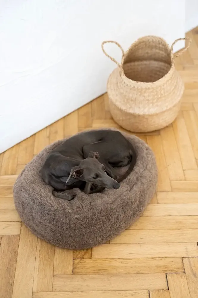 Beds - Oval Natural Wool Pet Bed - Beige - MELLOW CONCEPT STORE