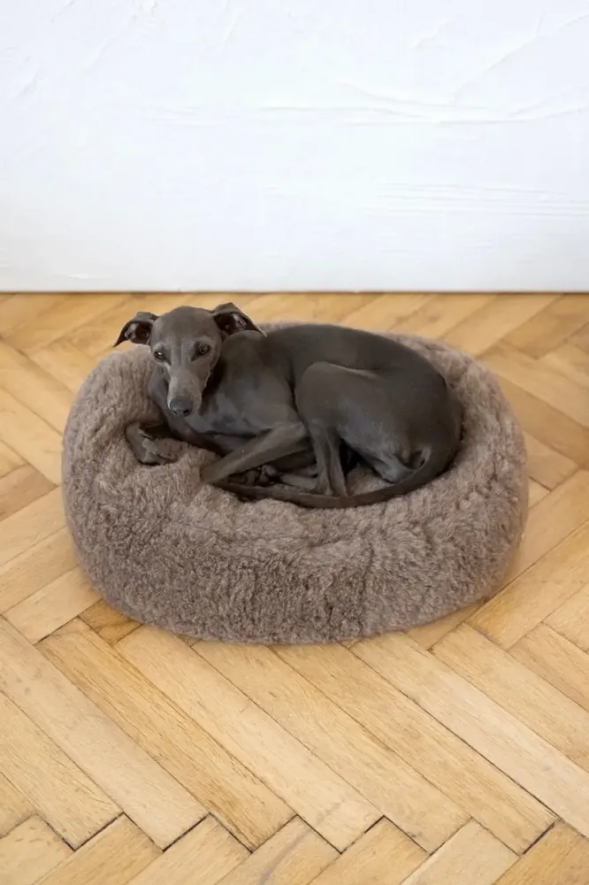 Beds - Oval Natural Wool Pet Bed - Beige - MELLOW CONCEPT STORE