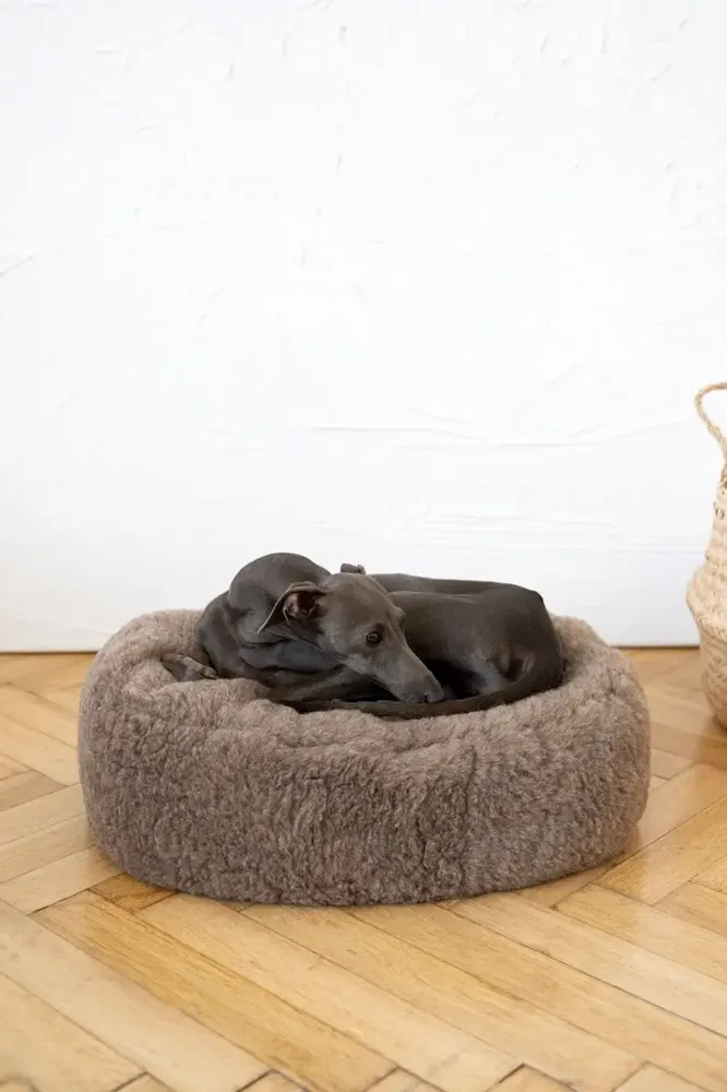 Beds - Oval Natural Wool Pet Bed - Beige - MELLOW CONCEPT STORE