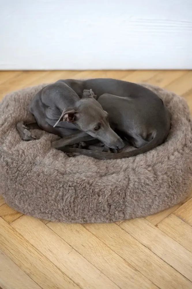 Beds - Oval Natural Wool Pet Bed - Beige - MELLOW CONCEPT STORE