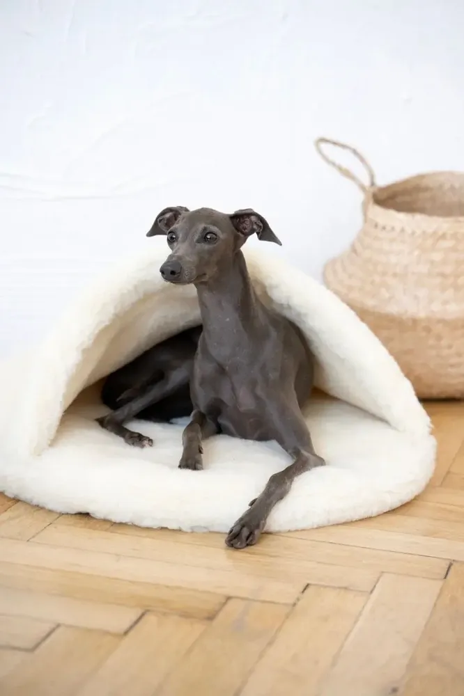 Beds - Natural Wool Pet Cave - White - MELLOW CONCEPT STORE