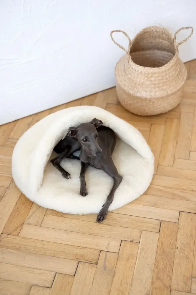 Beds - Natural Wool Pet Cave - White - MELLOW CONCEPT STORE