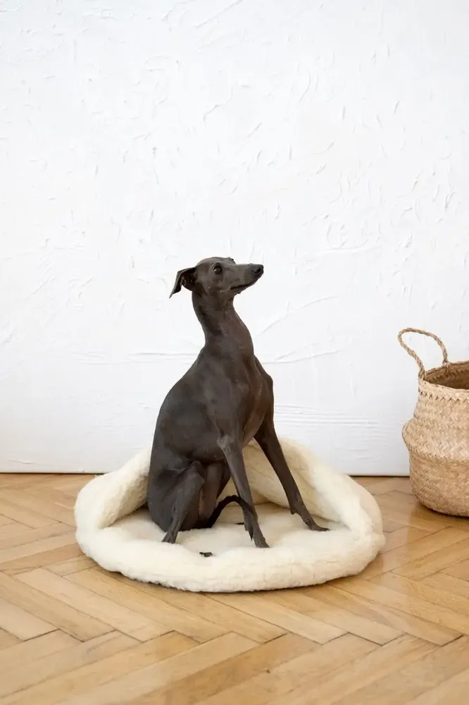 Beds - Natural Wool Pet Cave - White - MELLOW CONCEPT STORE