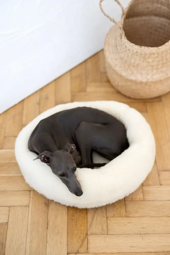 Lits - Lit Rond pour Animal en Laine Naturelle – Blanc - MELLOW CONCEPT STORE