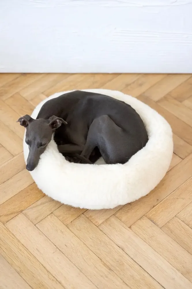 Lits - Lit Rond pour Animal en Laine Naturelle – Blanc - MELLOW CONCEPT STORE