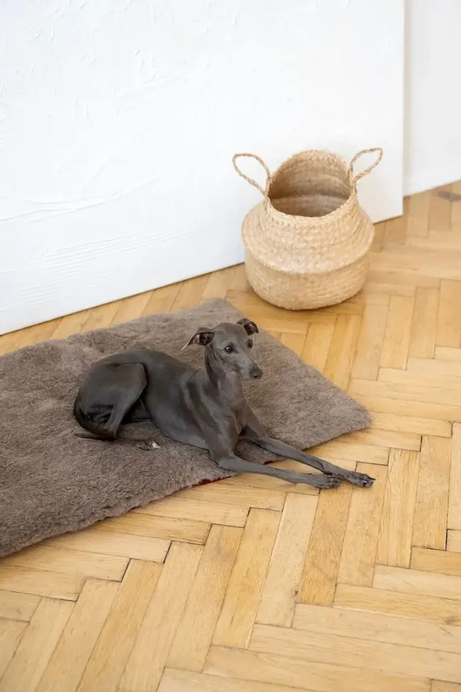 Lits - Tapis Carré ou Rectangulaire pour Animal en Laine Naturelle – Beige - MELLOW CONCEPT STORE