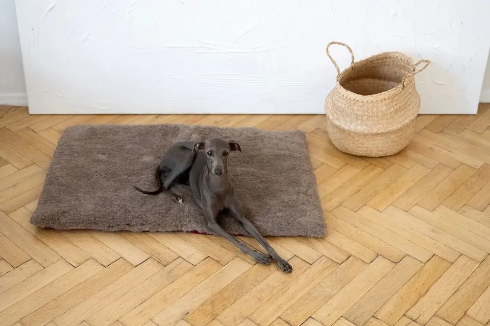 Lits - Tapis Carré ou Rectangulaire pour Animal en Laine Naturelle – Beige - MELLOW CONCEPT STORE