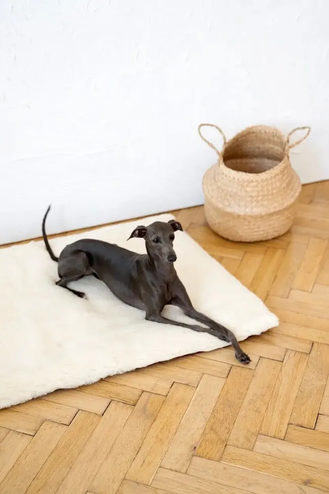 Lits - Tapis Carré ou Rectangulaire pour Animal en Laine Naturelle – Blanc - MELLOW CONCEPT STORE
