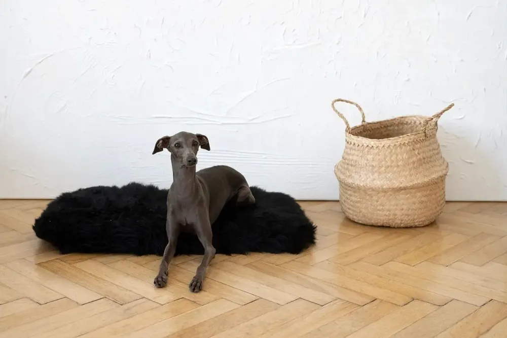 Lits - Tapis Carré ou Rectangulaire en Peau de Mouton Naturelle – Noir - MELLOW CONCEPT STORE