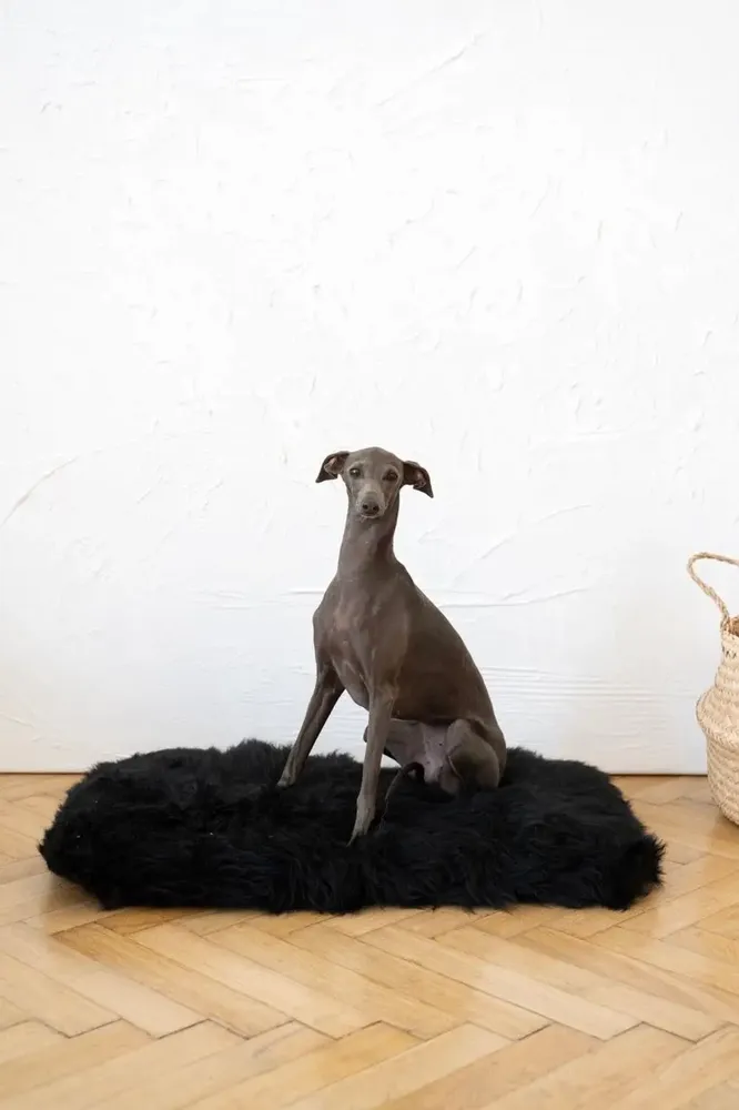 Lits - Tapis Carré ou Rectangulaire en Peau de Mouton Naturelle – Noir - MELLOW CONCEPT STORE