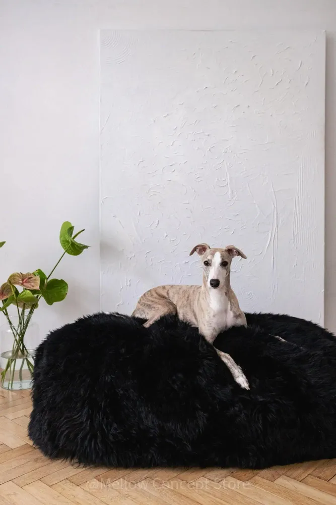 Beds - Oval Natural Sheepskin Pet Bed - Black - MELLOW CONCEPT STORE