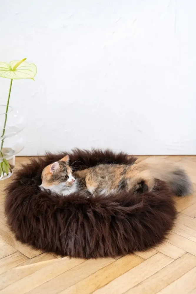 Lits - Lit Rond pour Animal en Peau de Mouton Naturelle - Marron - MELLOW CONCEPT STORE