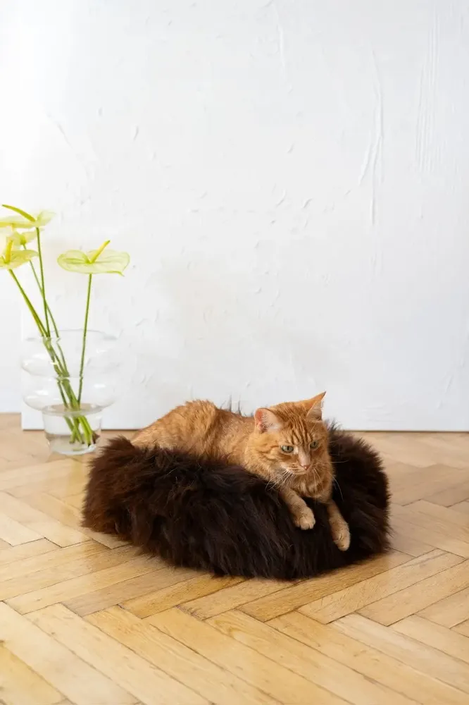 Lits - Lit Rond pour Animal en Peau de Mouton Naturelle - Marron - MELLOW CONCEPT STORE