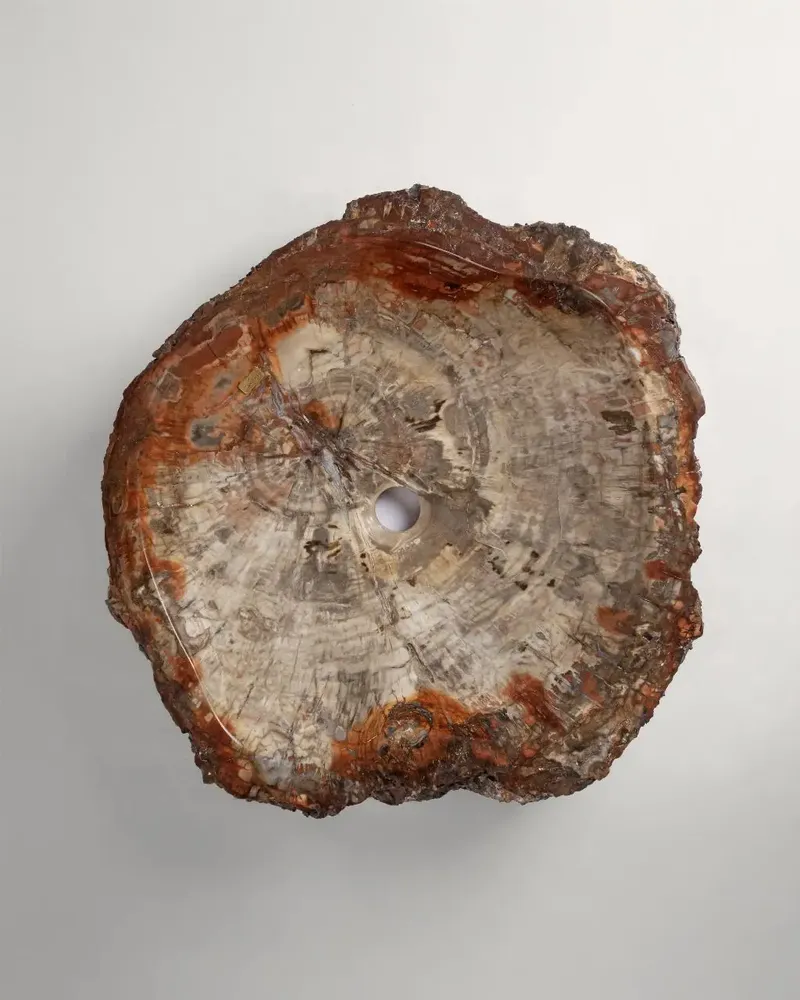 Lave-mains - Petrified wood Basin - PRESTONEX DESIGN PVT LTD