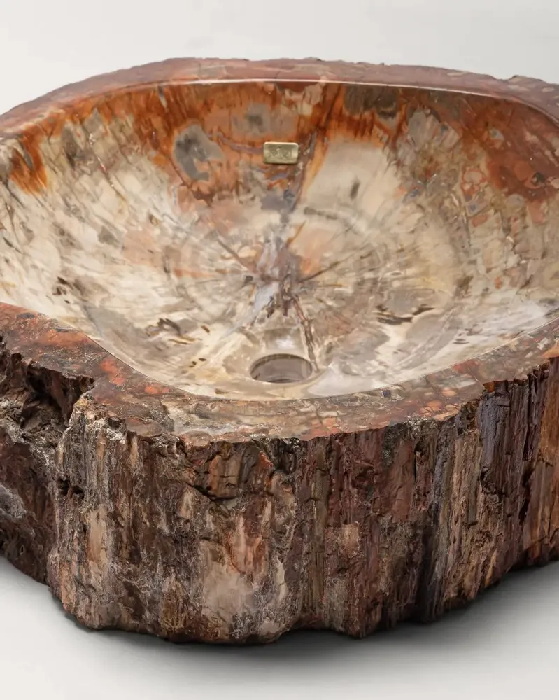 Lave-mains - Petrified wood Basin - PRESTONEX DESIGN PVT LTD
